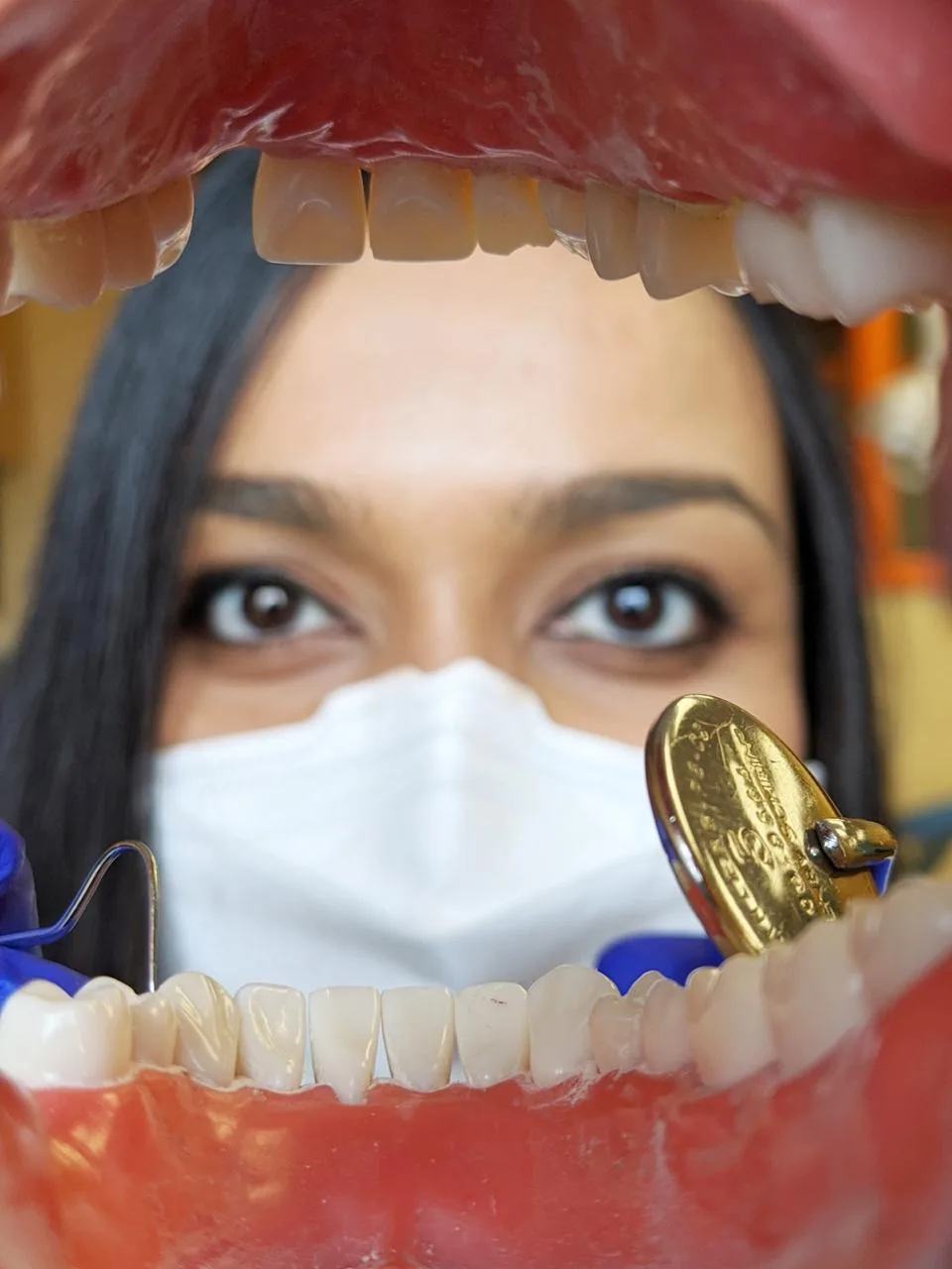 Dr. Nidhi looking through the open jaws of a giant dental teaching model